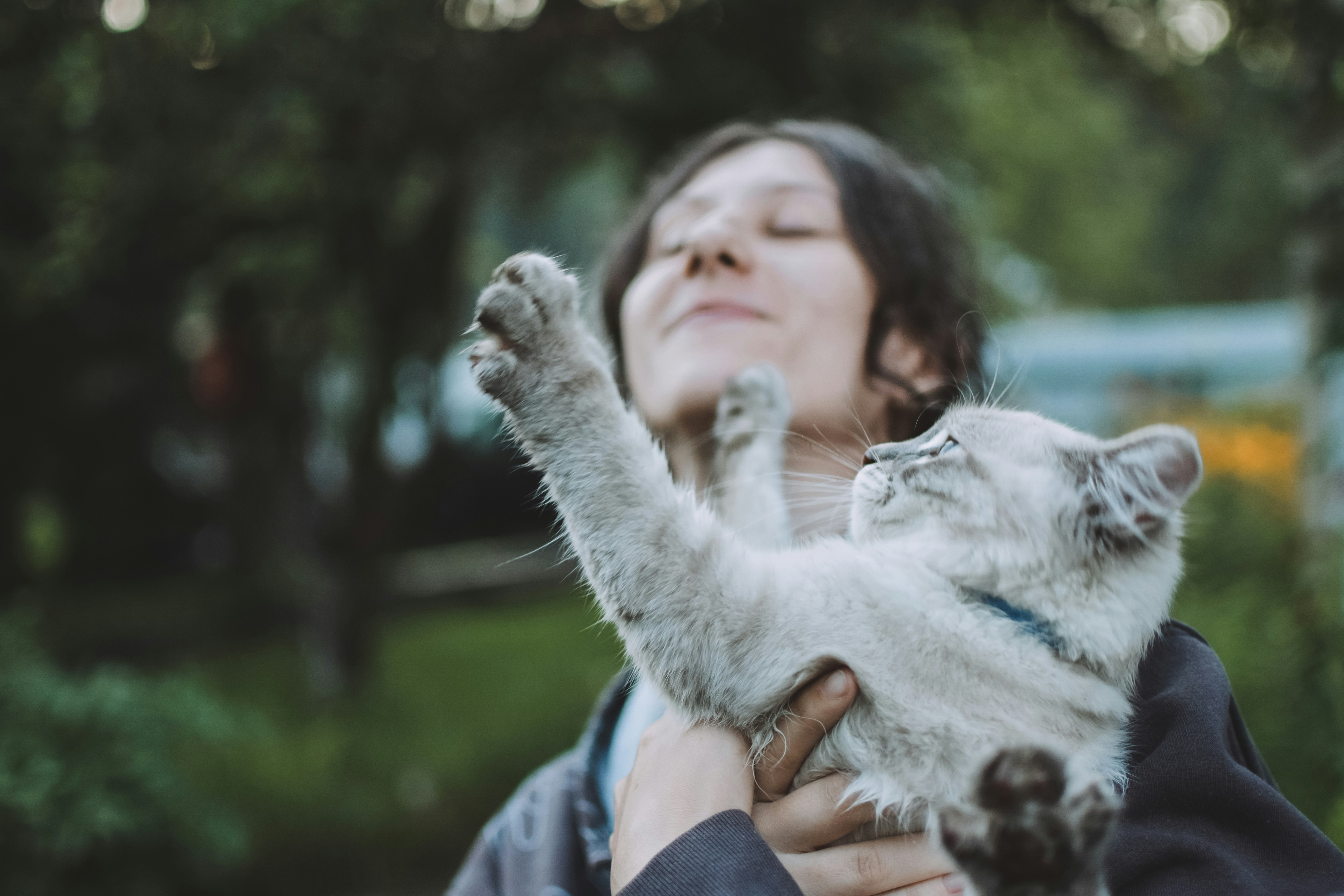 West End of Glasgow someone holding a cat as it paws her face.